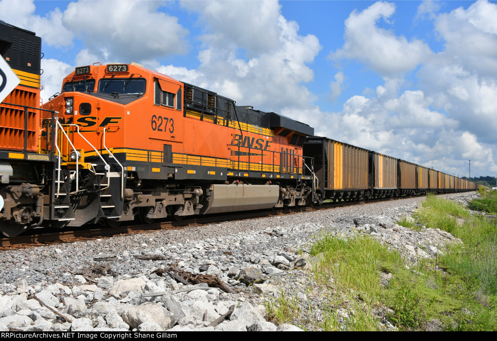 BNSF 6273 Roster shot